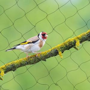 조류 보호망, 비둘기 그물망, 30 X 15 M, 메쉬 사이즈 5 Cm, 발코니, 정원, 연못 및 수영장용 다용도 검정