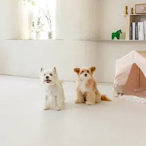 펫노리터 펫 강아지 롤 매트 논슬립 슬개골보호 셀프시공 포근하개 아이보리 (0.55cm)
