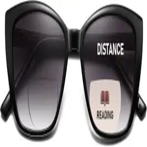 여성용 PUBOWT 바이포컬 리딩 선글라스 오버사이즈 고양이 눈 패션 선 리더 스프링 힌지 웨어 UV 프로텍션