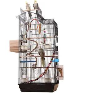 사육장 케이지 하늘다람쥐 앵무새 슈가글라이더