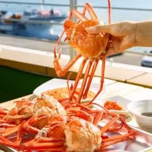 후포리 정품 박달홍게[자숙]4kg 8미~10미 S급 수율 90프로이상