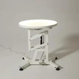 애완동물 미용 테이블 전기 리프트 회전 전동 미용대형