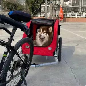 대형견유모차 펫카트 4IN1유모차 대형 중형견