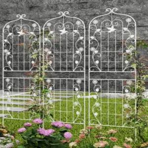 정원 아치 펜스 넝쿨 휀스 지주대 덩굴 마당 덩굴