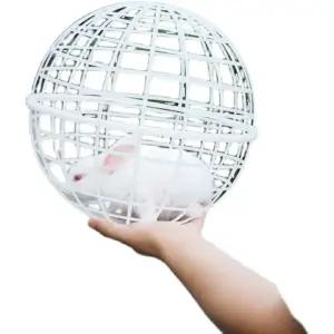 플라스틱 닭 케이지 도망방지 울타리 방목 원형 원형