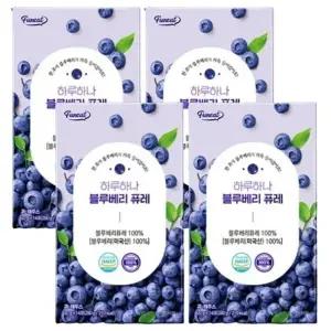 [단비] 퍼니트 하루하나 블루베리 퓨레 14포 x 4개