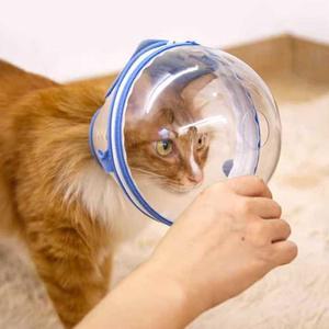 고양이 얼굴 커버 마스크 목욕 트리머 물림방지 투명 입마개 보호 넥카라 소형