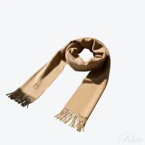 메종키츠네 볼드 폭스헤드 머플러 NM06201WA0018 P245