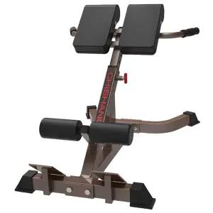 코어 로만체어 로망 체어 허리 근력 복근 기립근 운동