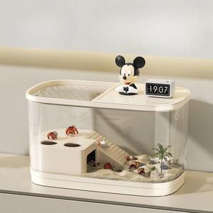 달팽이 케 거북이 도둑게 소라게사육장