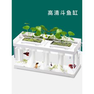 수경재배어항 아쿠아포닉스 물고기 수족관 아이비 수경재배 키우기 단일 금붕어