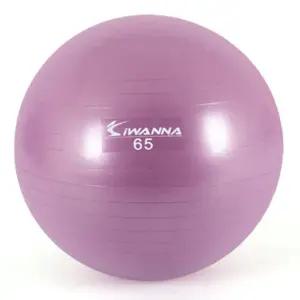 R09 아이워너 짐볼 65cm 락 짐볼 헬스 마사지짐볼 홈