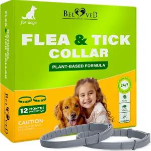 반려견용 천연 벼룩 및 진드기 퇴치 목걸이 - 식물성 방수 6개월 해충 보호 조절 가능 안전(1팩 2개)