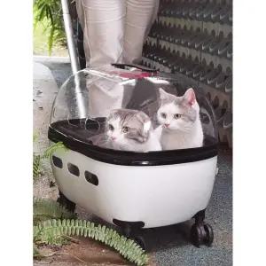 반려동물 캐리어 야외 외출 이동가방 여행용 외출