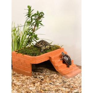 반수생 거북이 어항 사육장 대형 배수 60cm 유리 제작 소형 60x40x30흰색