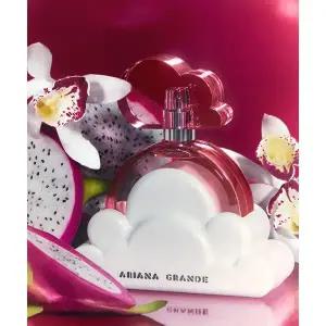 ARIANA GRANDE 클라우드 핑크 EDP 30ML 2052715