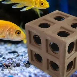 어항 수조 꾸미기 물고기 구피 새우 은신처 놀이터