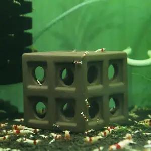 어항 꾸미기 물고기 새우 놀이터 은신처 구피 고급형