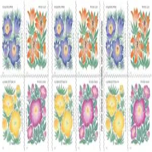 마운틴 플로라 플라워 미국 퍼스트 클래스 영원한 우표 미인 결혼식 축하 20권 1권