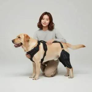 노견 강아지 뒷다리 보조기 하체 지지대 산책용 서포트