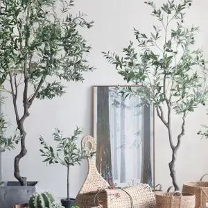 올리브 나무 승진 개업화분 열매 가지 올리브나무 사무실 70cm 품종 소형