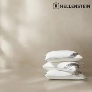 2개 SET 디럭스 다운필 베개 50x70