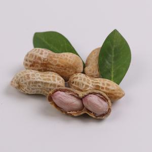 속껍질까지 먹는 삶은땅콩 700g 간식 안주 캠핑 여행