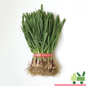 풋마늘 (6단) 9kg