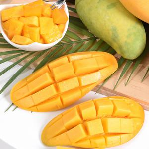 마하차녹 무지개 망고 8-12과 4kg내외