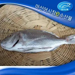e수산물 제사용 참돔 중대 특대 제수용생선 반건조참돔  제수용 고급 민어 제사용생선