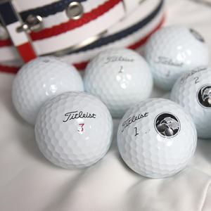 타이틀리스트 로스트골프공 3피스 4피스 A-등급