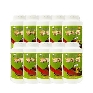 팽이싹 500g [10세트]