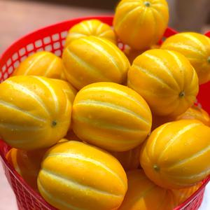 유기농 고당도 성주 참외 3kg 5kg 못난이 참외 10kg