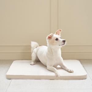 코코리에또펫 강아지 방석 커버분리 사계절 쿨 애견방석