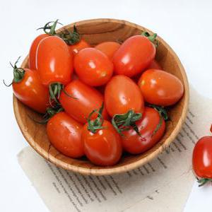 달짝이토마토 채어당 토렌지 건단마토 스테비아 방울토마토 토망고 1kg 건달마토