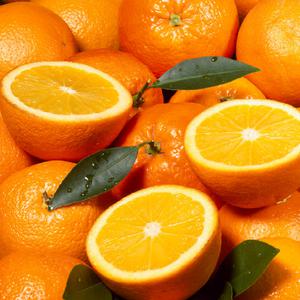 블랙라벨 오렌지 L 대과 / 30과