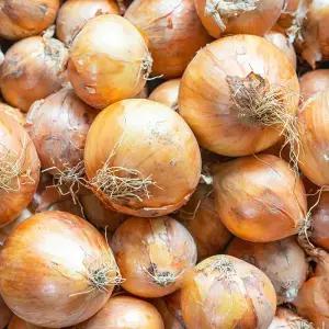 (황토보석) 26년 무안 흰 햇 양파