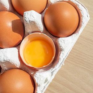 [자연맛남]HACCP인증 무항생제 농장직송 달걀 생계란 대란 30구 1판