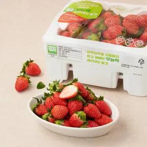 무농약 생긴대로 딸기 (상) 900g