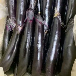 국내산 축양 가지 1kg