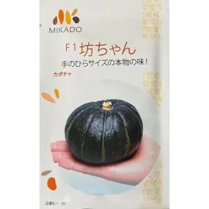 [모종심는아빠] 미니밤호박 F1 보우짱 씨앗 종자 100립 미니단호박