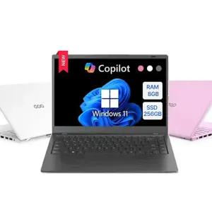 다오북 14-N100BC 14인치 윈도우11 포함 노트북 다크 그레이 (RAM 8GB, SSD 256GB)