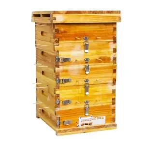 허니 박스 토종벌 자재 벌통 채집 나무 양봉 벌꿀집