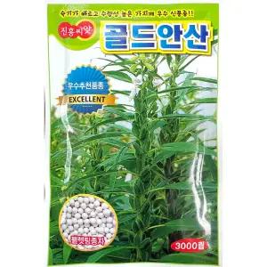 골드안산 3000립 26년 참깨씨앗