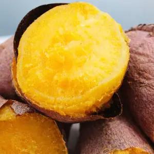 (산지직배) 달콤하고 촉촉한 영주 봉화 호풍미 호박고구마 꿀고구마 에어프라이어용 10kg