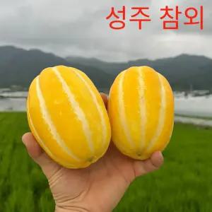 [고당도 가정용] 성주 꿀참외 중대과 (4-7과 내외) 2kg 아삭하고 매력터지는 단맛(3대에 걸친 농가 농법)