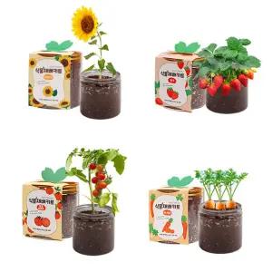 방울토마토 키우기 딸기 강낭콩 당근 봉선화 해바라기 모종 씨앗 키트 어린이집 식목일 행사