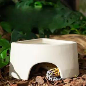 도마뱀 습식 은신처 게코 파충류 집꾸미기 도자기 소형