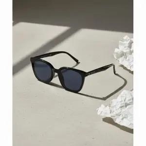 리에티 RIETI ALDO RT 2013 C1 선글라스 블랙 스퀘어 뿔테