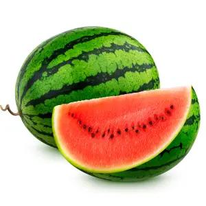 하우스 정품 수박 5-6kg